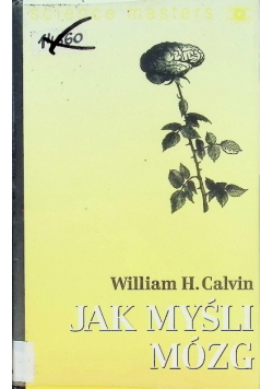 Jak myśli mózg