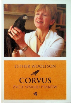 Corvus Życie wśród ptaków