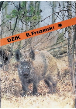 Dzik