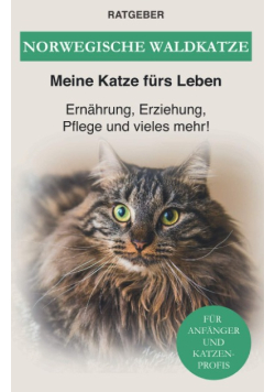 Norwegische Waldkatze