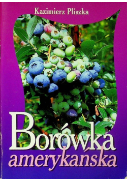 Borówka amerykańska
