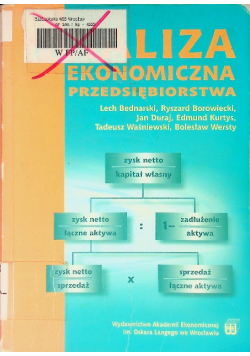 Analiza ekonomiczna przedsiębiorstwa
