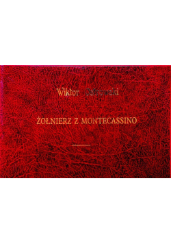 Żołnierz z Montecassino