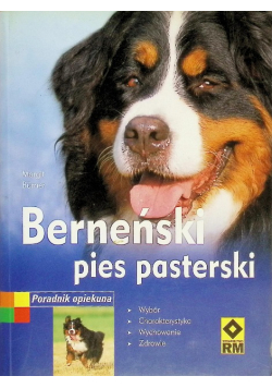 Berneński pies pasterski