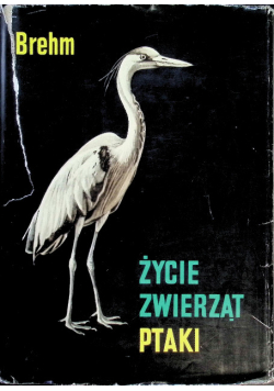 Życie zwierząt. Ptaki