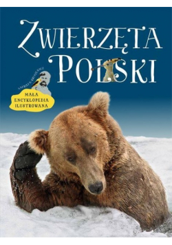 Zwierzęta Polski. Mała encyklopedia ilustrowana
