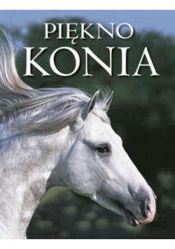 Piękno konia