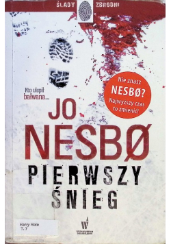 Pierwszy śnieg