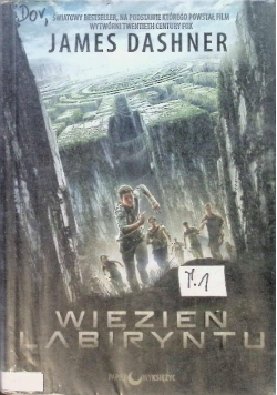 Więzień labiryntu Tom 1