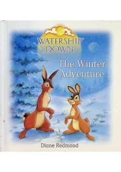The Winter Adventure