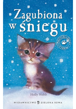 Zagubiona w śniegu
