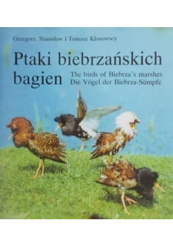 Ptaki biebrzańskich bagien