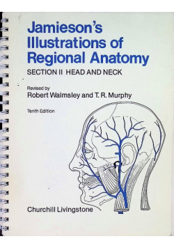 Jamieson's Illustrations of Regional Anatomy