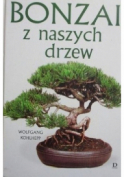Bonzai z naszych drzew