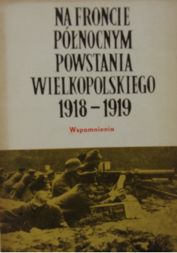 Na froncie północnym powstania wielkopolskiego 1918 - 1919 wspomnienia