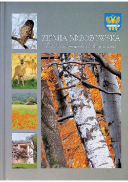 Ziemia Brzozowska