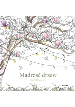 Mądrość drzew. Kolorowanka