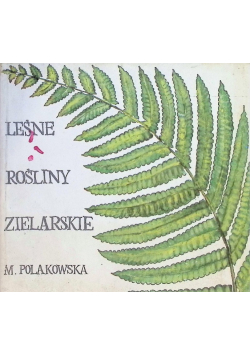 Leśne rośliny zielarskie