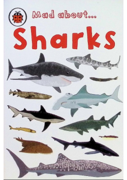 Mad About Sharks