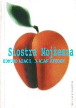 Siostra Mojżesza