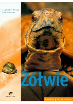 Żółwie zwierzęta w domu