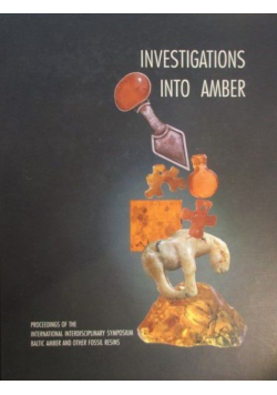 Investigations into amber