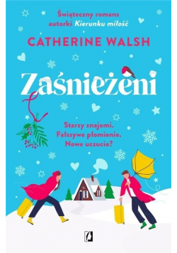 Zaśnieżeni