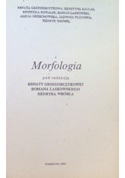 Morfologia