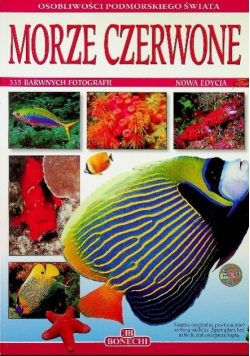 Morze Czerwone 335 barwnych fotografii