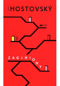 Zaginiony