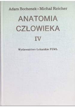 Anatomia człowieka IV