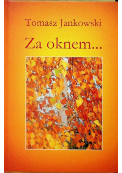 Za oknem