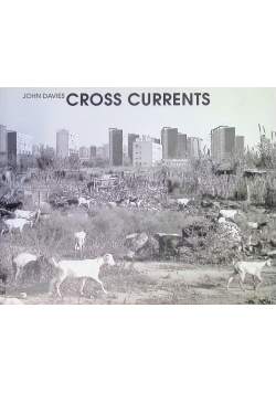 Cross Currents