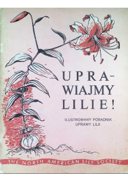 Uprawiajmy Lilie Ilustrowany Poradnik Uprawy Lilii