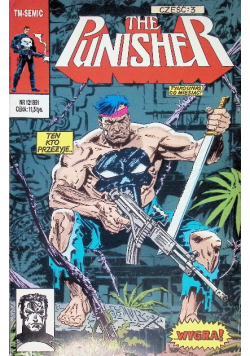 The punisher Nr 12