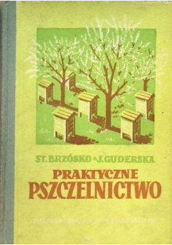 Praktyczne pszczelnictwo