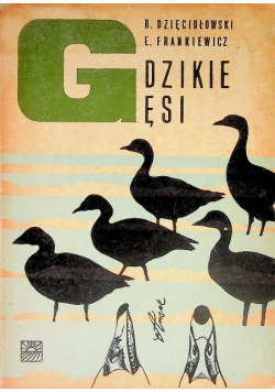 Dzikie gęsi