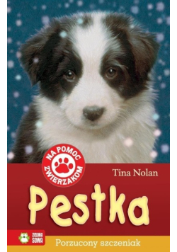 Na pomoc zwierzakom Pestka Porzucony szczeniak
