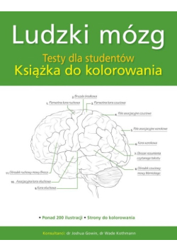 Ludzki mózg Testy dla studentów Książka do kolorowania