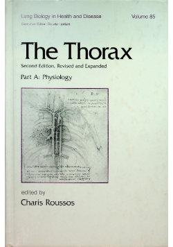 Roussos the thorax