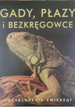 Encyklopedia zwierząt Gady płazy i bezkręgowce