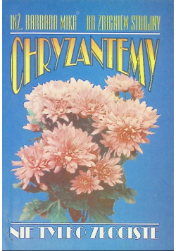 Chryzantemy nie tylko złociste