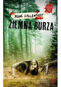 Ziemna burza