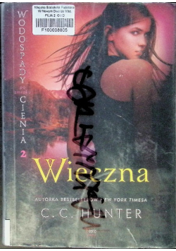 Wodospady cienia po zmroku Tom 2 Wieczna