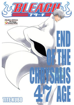 Bleach Tom 47