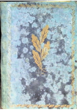 Wiatr od morza 1928 r.