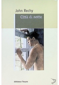 Citta di notte