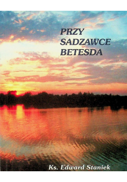 Przy sadzawce Betesda