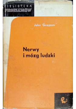 Nerwy i mózg ludzki