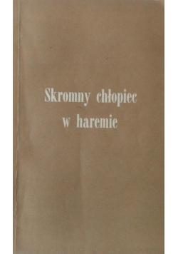 Skromny chłopiec w haremie